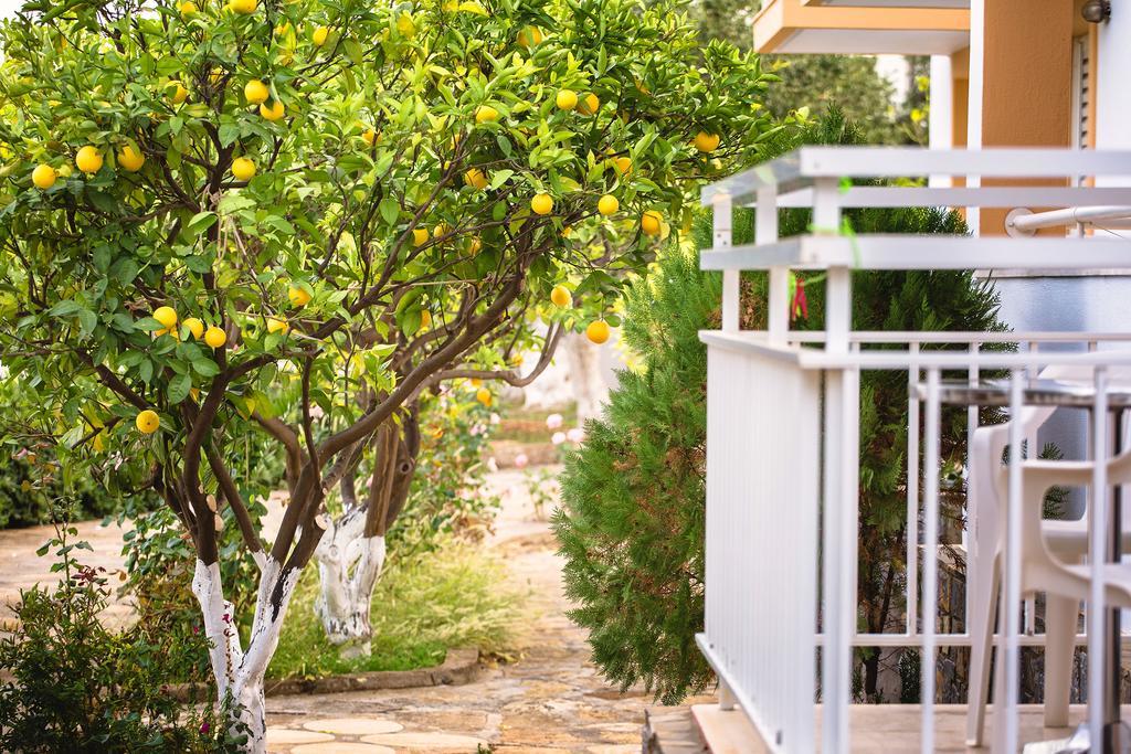Primavera Paradise Apartments Agios Nikolaos  Luaran gambar