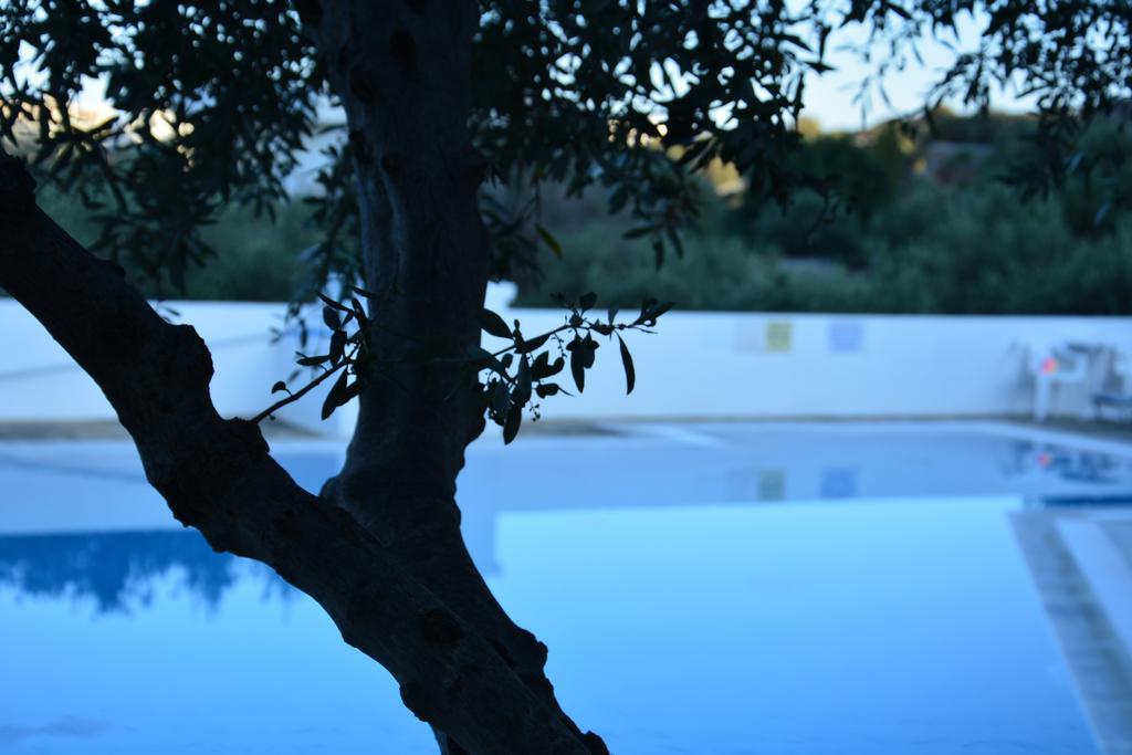 Primavera Paradise Apartments Agios Nikolaos  Luaran gambar